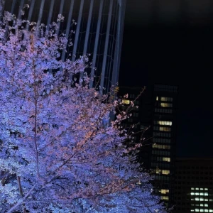 おはようございます！の写真1枚目