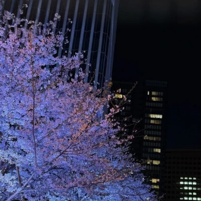 おはようございます！