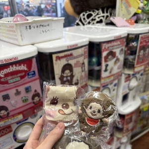 ティアラのくるみです〜〜🐿💜の写真1枚目