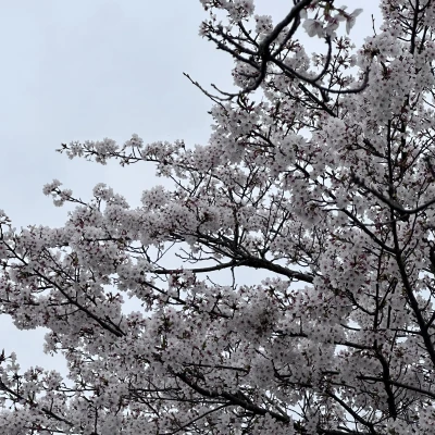 るのだよ〜🍀*゜