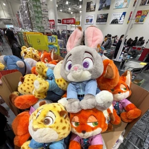 2/14の写真1枚目