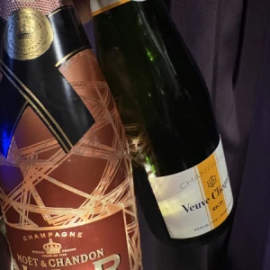 4/11🐈の写真1枚目