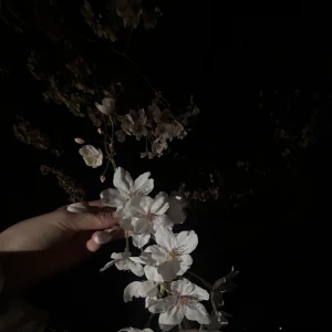 こんばんは✨の写真1枚目