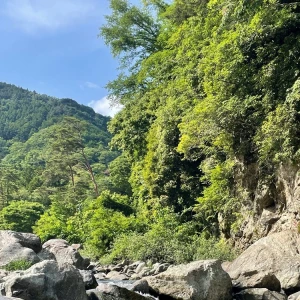 6.5の写真1枚目