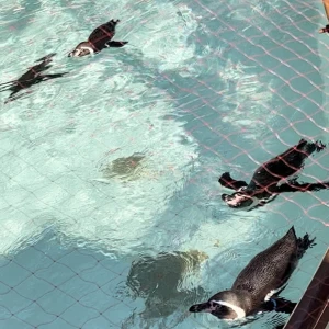 ぽかぽか☀️の写真1枚目