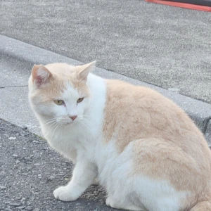 小さい幸せの写真1枚目