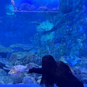🐟🐟🐟🐟の写真1枚目