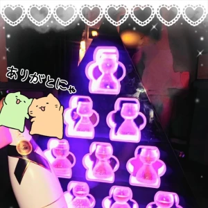 5/26の写真1枚目