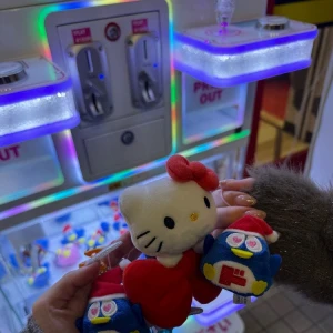 どんぺん😺😻🐧の写真1枚目