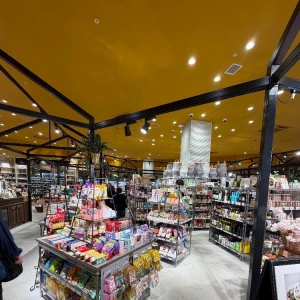 3月23日 21:30～の写真1枚目