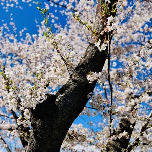 遠出！の写真2枚目