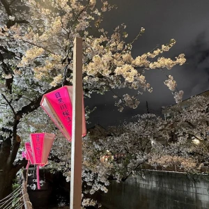 春びより🍓🌸♡の写真2枚目