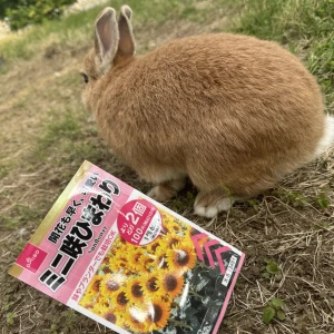 おはようございます☀の写真1枚目