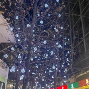 だいすきな季節✨˚✩*.*･ﾟ🌲.ﾟ･*.*｡ﾟの写真1枚目