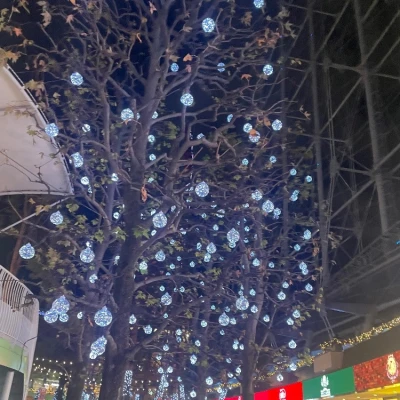 だいすきな季節✨˚✩*.*･ﾟ🌲.ﾟ･*.*｡ﾟ