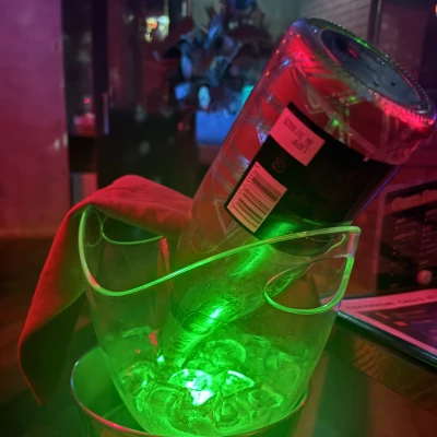 ましろ出勤中です🦖🐾