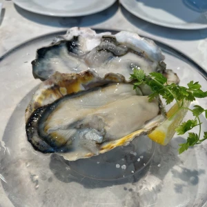 れいです🏃‍➡の写真1枚目