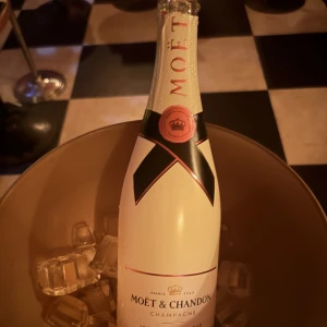 昨日は4人の方が遊びに来てくれました！！の写真1枚目