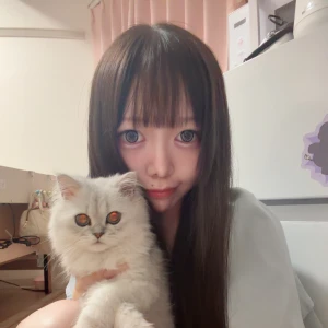 うちのねこさん顔整いすぎてうらやましいの写真1枚目