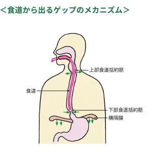 病院はｲﾔｰｰｰｯｯｯ‼️‼️‼️の写真2枚目