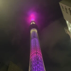夜散歩の写真1枚目