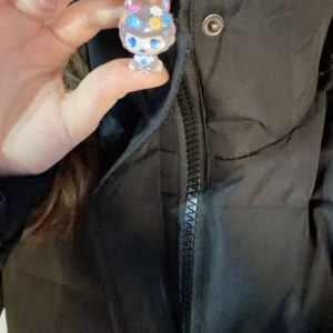 こんばんは！の写真1枚目