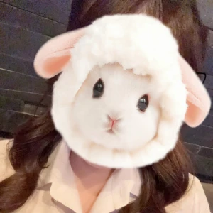 1月も終盤の写真1枚目