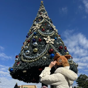 こんばんは🌟✨️あいです！の写真2枚目