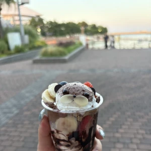 今日もいます₍ᐢ‥ᐢ₎ ♡の写真1枚目