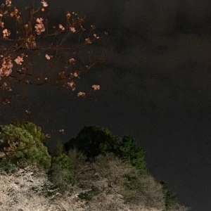 しゅっきーーん！！の写真1枚目