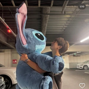6月に始まった( ◜ᴗ◝ )の写真1枚目