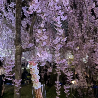 こんばんは🐈‍⬛🌙