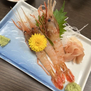 12/18(木) 21時半からいます🐴の写真1枚目