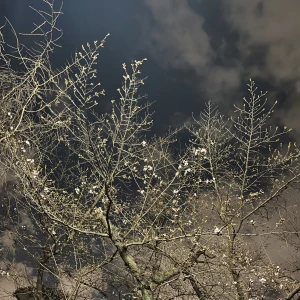 復活！の写真1枚目