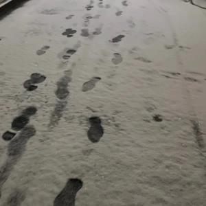 ⛄️⸜❄️⸝の写真1枚目