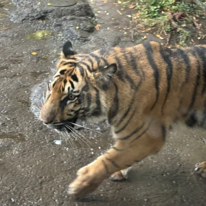 出勤！！！の写真1枚目