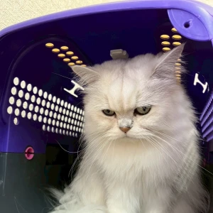 こんばんは〜🌙の写真2枚目