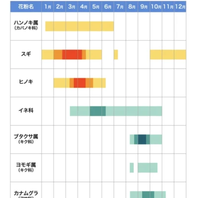 花粉症が辛いです