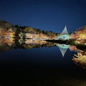 紅葉🍁の写真1枚目