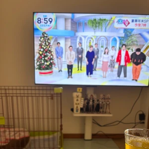 ☀️の写真1枚目