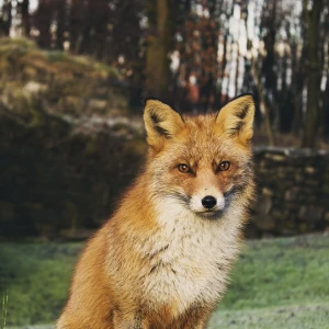 メール投稿の写真3枚目