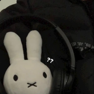 7.22の写真1枚目