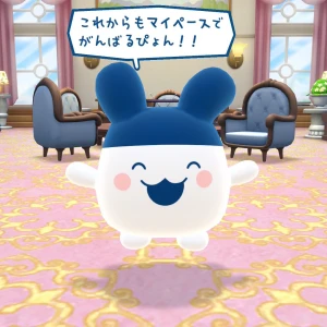 やほ！！の写真1枚目
