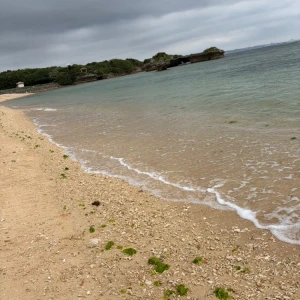 こんばんは～🌙の写真1枚目