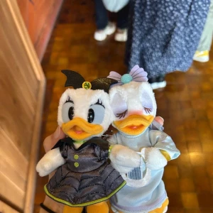 Dハロ~！の写真2枚目