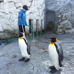 こんばんは！さらんです⋆⸜🌷⸝‍⋆の写真1枚目