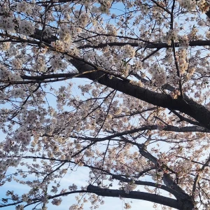 出勤してます🐸の写真1枚目