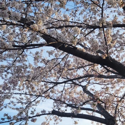 出勤してます🐸