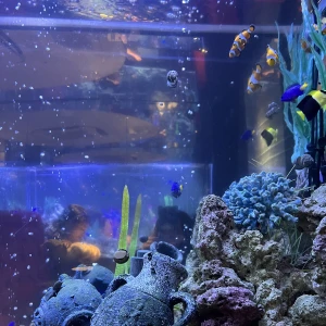 出勤！の写真2枚目