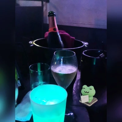 出勤してます🐸